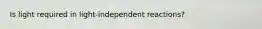 Is light required in light-independent reactions?
