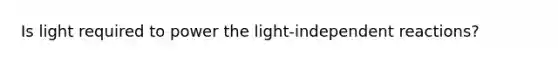 Is light required to power the light-independent reactions?