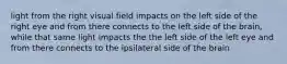 light from the right visual field impacts on the left side of the right eye and from there connects to the left side of the brain, while that same light impacts the the left side of the left eye and from there connects to the ipsilateral side of the brain