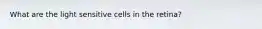 What are the light sensitive cells in the retina?