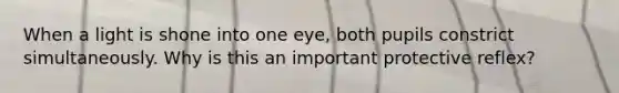 When a light is shone into one eye, both pupils constrict simultaneously. Why is this an important protective reflex?