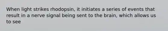 When light strikes rhodopsin, it initiates a series of events that result in a nerve signal being sent to the brain, which allows us to see