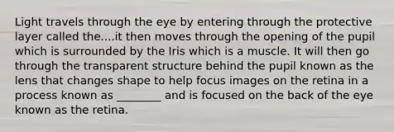 Light travels through the eye by entering through the protective layer called the....it then moves through the opening of the pupil which is surrounded by the Iris which is a muscle. It will then go through the transparent structure behind the pupil known as the lens that changes shape to help focus images on the retina in a process known as ________ and is focused on the back of the eye known as the retina.