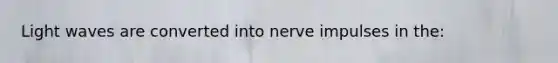 Light waves are converted into nerve impulses in the: