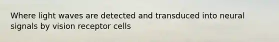 Where light waves are detected and transduced into neural signals by vision receptor cells