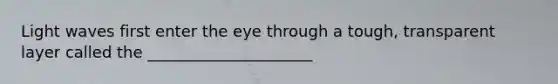 Light waves first enter the eye through a tough, transparent layer called the _____________________