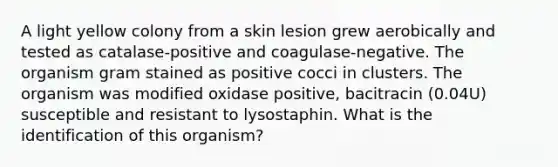 A light yellow colony from a skin lesion grew aerobically and tested as catalase-positive and coagulase-negative. The organism gram stained as positive cocci in clusters. The organism was modified oxidase positive, bacitracin (0.04U) susceptible and resistant to lysostaphin. What is the identification of this organism?