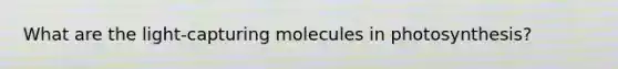 What are the light-capturing molecules in photosynthesis?