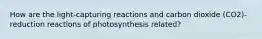 How are the light-capturing reactions and carbon dioxide (CO2)-reduction reactions of photosynthesis related?