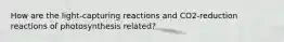 How are the light-capturing reactions and CO2-reduction reactions of photosynthesis related?