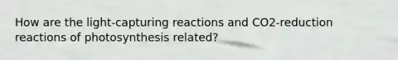 How are the light-capturing reactions and CO2-reduction reactions of photosynthesis related?