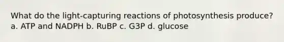 What do the light-capturing reactions of photosynthesis produce? a. ATP and NADPH b. RuBP c. G3P d. glucose