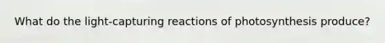 What do the light-capturing reactions of photosynthesis produce?
