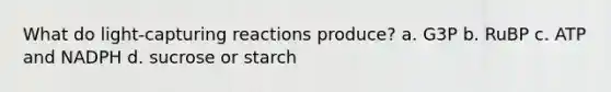 What do light-capturing reactions produce? a. G3P b. RuBP c. ATP and NADPH d. sucrose or starch