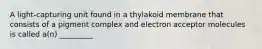 A light-capturing unit found in a thylakoid membrane that consists of a pigment complex and electron acceptor molecules is called a(n) _________