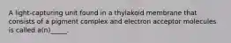 A light-capturing unit found in a thylakoid membrane that consists of a pigment complex and electron acceptor molecules is called a(n)_____.