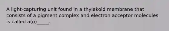 A light-capturing unit found in a thylakoid membrane that consists of a pigment complex and electron acceptor molecules is called a(n)_____.