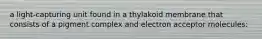 a light-capturing unit found in a thylakoid membrane that consists of a pigment complex and electron acceptor molecules: