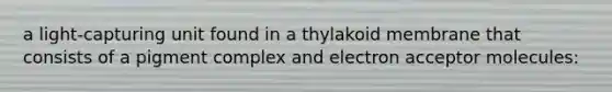 a light-capturing unit found in a thylakoid membrane that consists of a pigment complex and electron acceptor molecules: