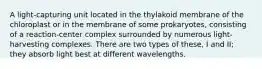 A light-capturing unit located in the thylakoid membrane of the chloroplast or in the membrane of some prokaryotes, consisting of a reaction-center complex surrounded by numerous light-harvesting complexes. There are two types of these, I and II; they absorb light best at different wavelengths.