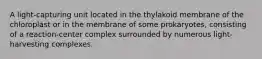 A light-capturing unit located in the thylakoid membrane of the chloroplast or in the membrane of some prokaryotes, consisting of a reaction-center complex surrounded by numerous light-harvesting complexes.