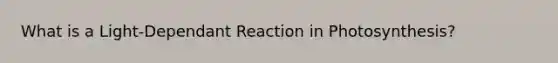 What is a Light-Dependant Reaction in Photosynthesis?