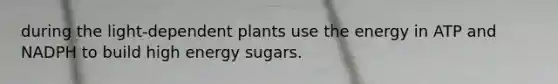 during the light-dependent plants use the energy in ATP and NADPH to build high energy sugars.