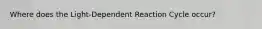 Where does the Light-Dependent Reaction Cycle occur?