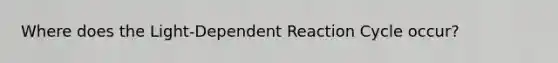 Where does the Light-Dependent Reaction Cycle occur?