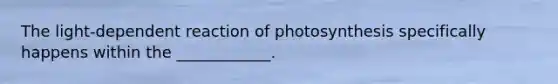 The light-dependent reaction of photosynthesis specifically happens within the ____________.