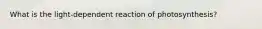 What is the light-dependent reaction of photosynthesis?