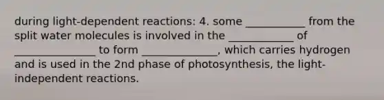 during light-dependent reactions: 4. some ___________ from the split water molecules is involved in the ____________ of _______________ to form ______________, which carries hydrogen and is used in the 2nd phase of photosynthesis, the light-independent reactions.