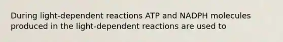 During light-dependent reactions ATP and NADPH molecules produced in the light-dependent reactions are used to