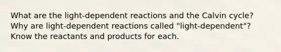 What are the light-dependent reactions and the Calvin cycle? Why are light-dependent reactions called "light-dependent"? Know the reactants and products for each.