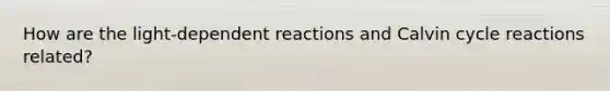 How are the light-dependent reactions and Calvin cycle reactions related?