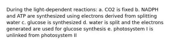 During the light-dependent reactions: a. CO2 is fixed b. NADPH and ATP are synthesized using electrons derived from splitting water c. glucose is synthesized d. water is split and the electrons generated are used for glucose synthesis e. photosystem I is unlinked from photosystem II