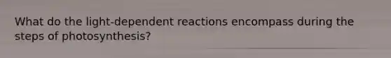 What do the light-dependent reactions encompass during the steps of photosynthesis?