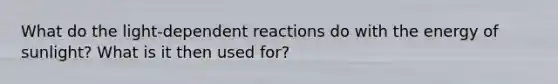 What do the light-dependent reactions do with the energy of sunlight? What is it then used for?