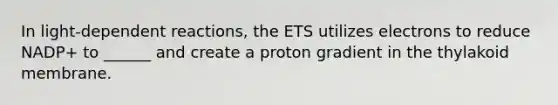 In light-dependent reactions, the ETS utilizes electrons to reduce NADP+ to ______ and create a proton gradient in the thylakoid membrane.