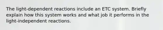 The light-dependent reactions include an ETC system. Briefly explain how this system works and what job it performs in the light-independent reactions.