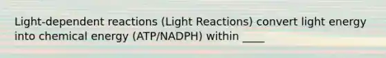 Light-dependent reactions (Light Reactions) convert light energy into chemical energy (ATP/NADPH) within ____