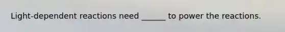 Light-dependent reactions need ______ to power the reactions.