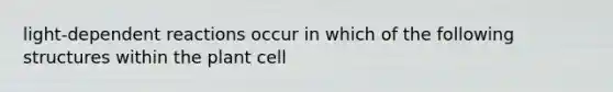 light-dependent reactions occur in which of the following structures within the plant cell