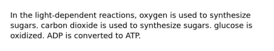 In the light-dependent reactions, oxygen is used to synthesize sugars. carbon dioxide is used to synthesize sugars. glucose is oxidized. ADP is converted to ATP.