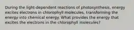 During the light‑dependent reactions of photosynthesis, energy excites electrons in chlorophyll molecules, transforming the energy into chemical energy. What provides the energy that excites the electrons in the chlorophyll molecules?