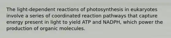 The light-dependent reactions of photosynthesis in eukaryotes involve a series of coordinated reaction pathways that capture energy present in light to yield ATP and NADPH, which power the production of organic molecules.