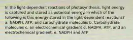 In the light-dependent reactions of photosynthesis, light energy is captured and stored as potential energy. In which of the following is this energy stored in the light-dependent reactions? a. NADPH, ATP, and carbohydrate molecules b. Carbohydrate molecules c. an electrochemical gradient d. NADPH, ATP, and an electrochemical gradient. e. NADPH and ATP