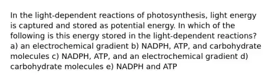 In the light-dependent reactions of photosynthesis, light energy is captured and stored as potential energy. In which of the following is this energy stored in the light-dependent reactions? a) an electrochemical gradient b) NADPH, ATP, and carbohydrate molecules c) NADPH, ATP, and an electrochemical gradient d) carbohydrate molecules e) NADPH and ATP