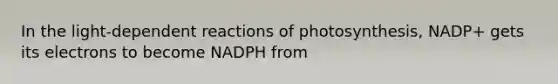 In the light-dependent reactions of photosynthesis, NADP+ gets its electrons to become NADPH from