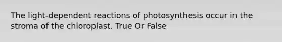 The light-dependent reactions of photosynthesis occur in the stroma of the chloroplast. True Or False